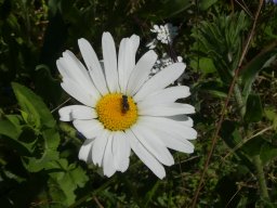 p1030091